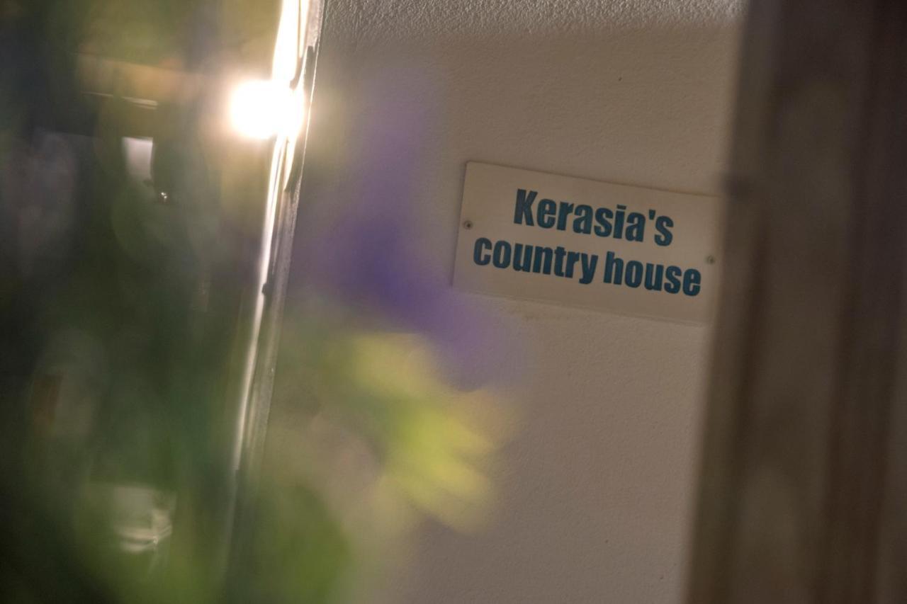 Kerasia'S Country House Apartment Volos Exterior photo